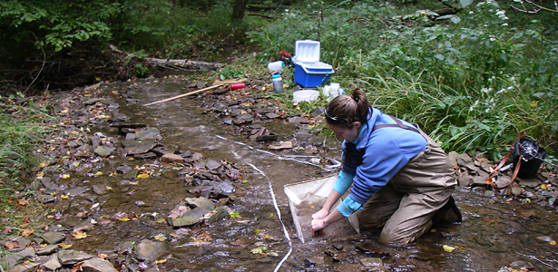 A scientist performs research in a stream.